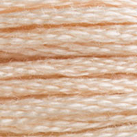 DMC #3774 Linen official colour swatch
