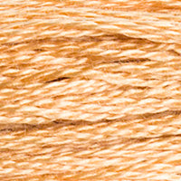 DMC #437 Camel official colour swatch