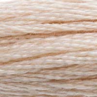 DMC #543 Shell official colour swatch