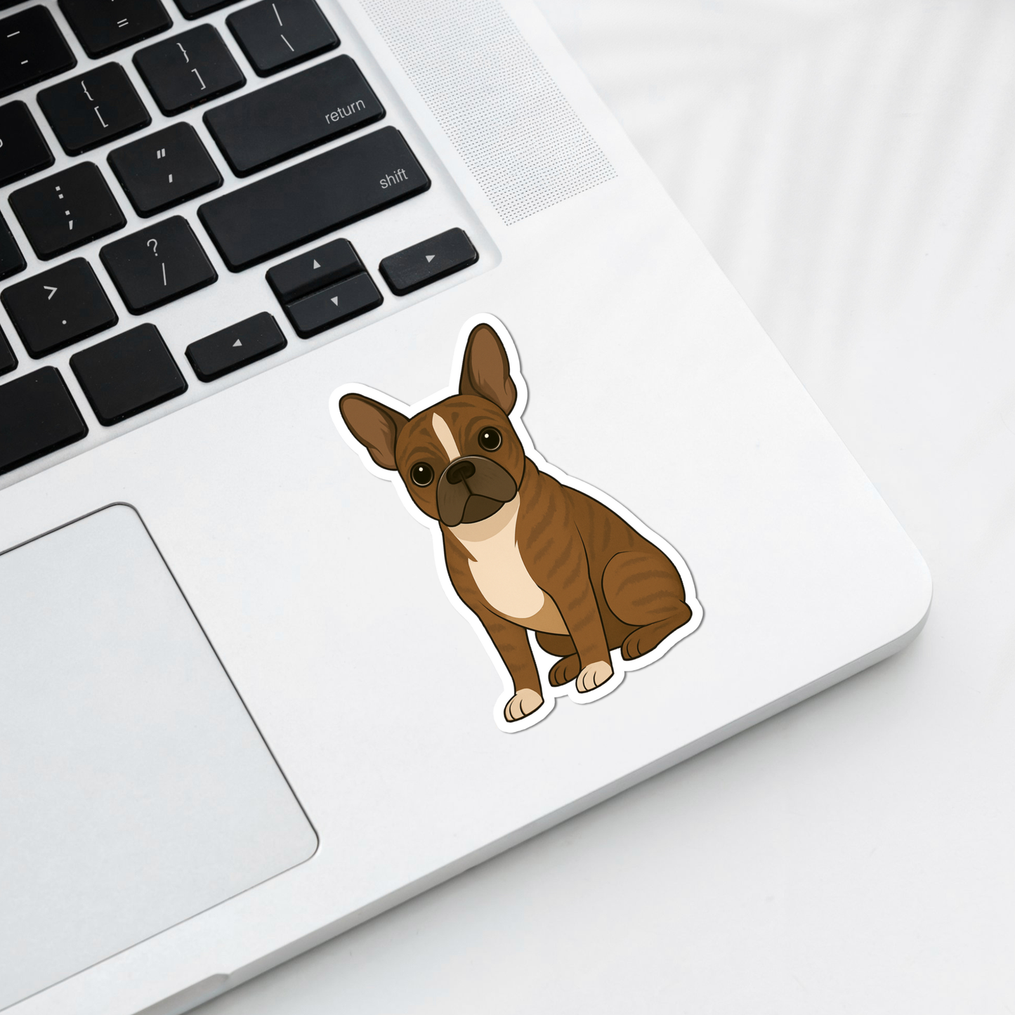 Aimant personnalisé Boston Terrier – Bringé et blanc | Personnalisable avec le nom de l'animal