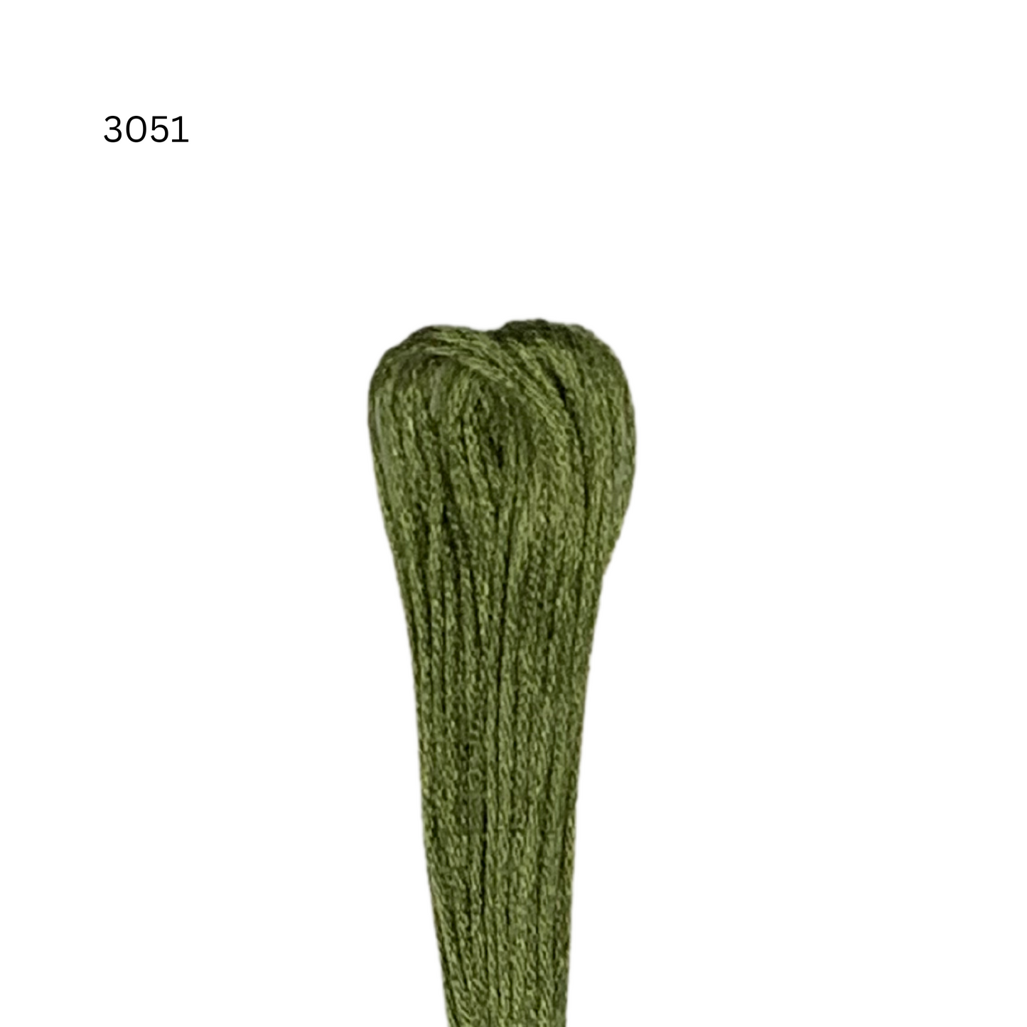 CXC #3051 - Very Dark Green Gray - 6-Strand Cotton Floss