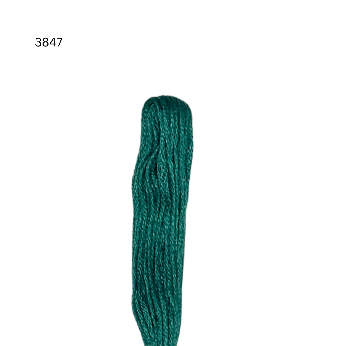 CXC #3847 - Deep Green - 6-Strand Cotton Floss