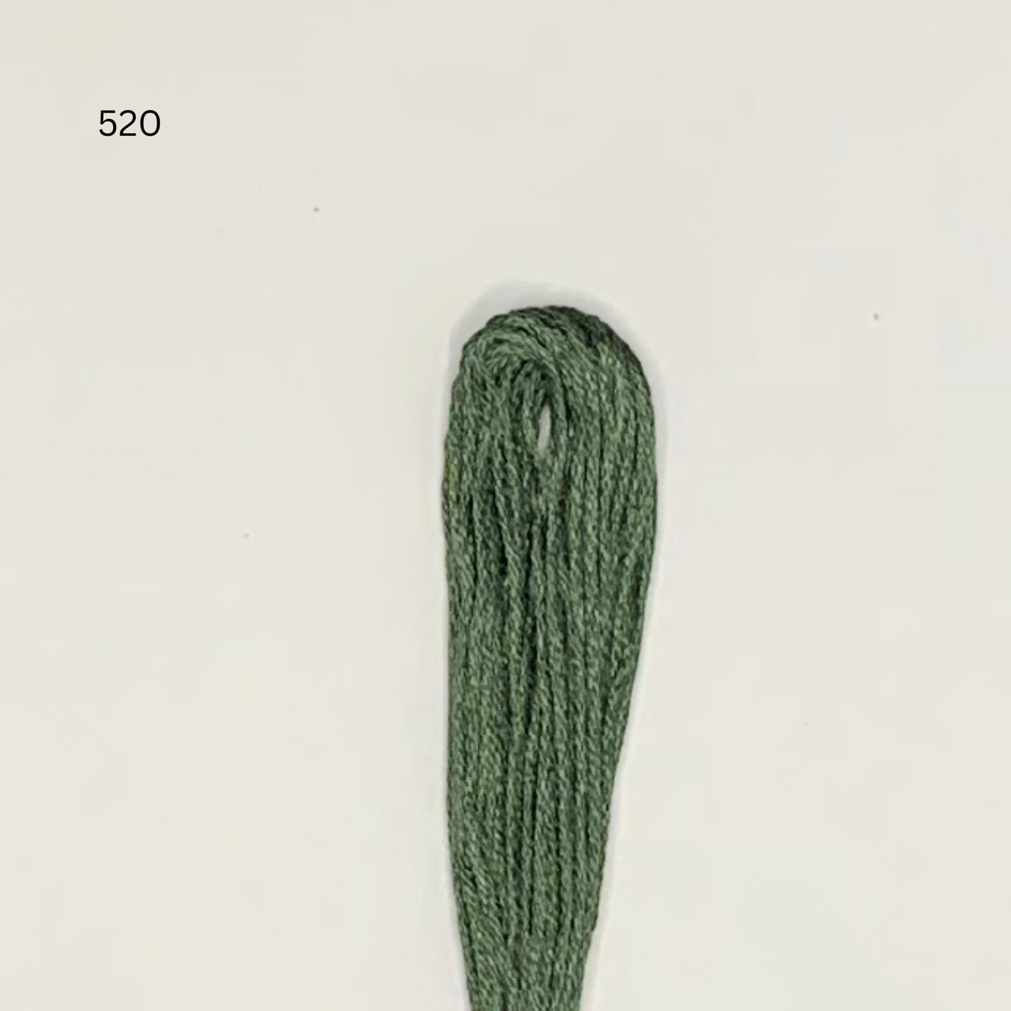 CXC #520 - Dark Fern Green - 6-Strand Cotton Floss