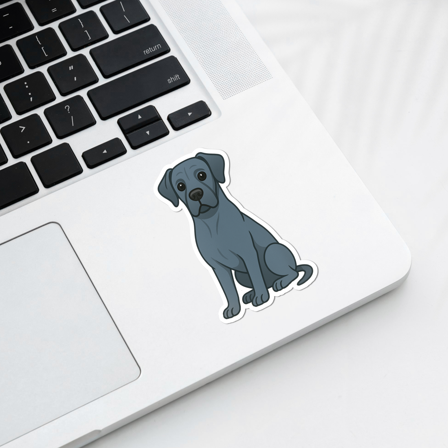 Custom Great Dane Dog Magnet - Blue | Personalized with Pet Name
