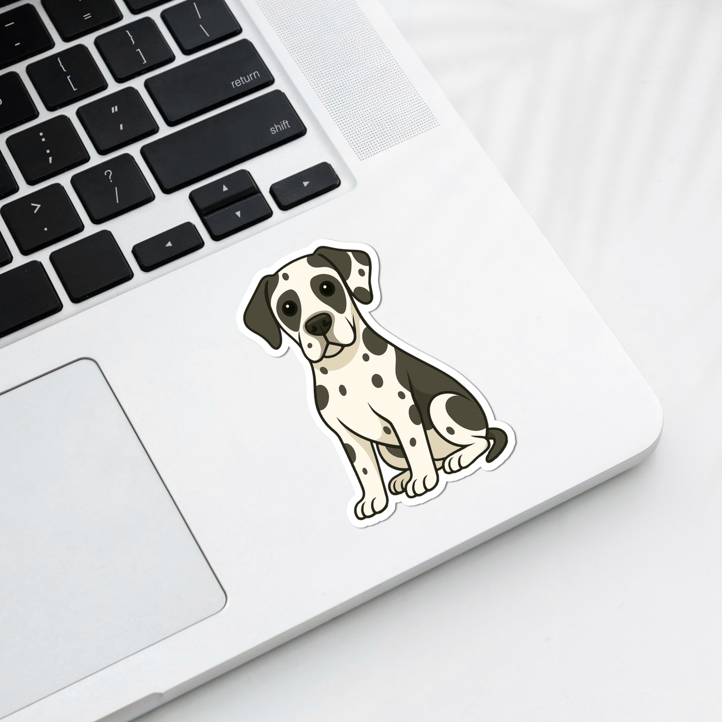 Custom Great Dane Dog Magnet - Harlequin | Personalized with Pet Name