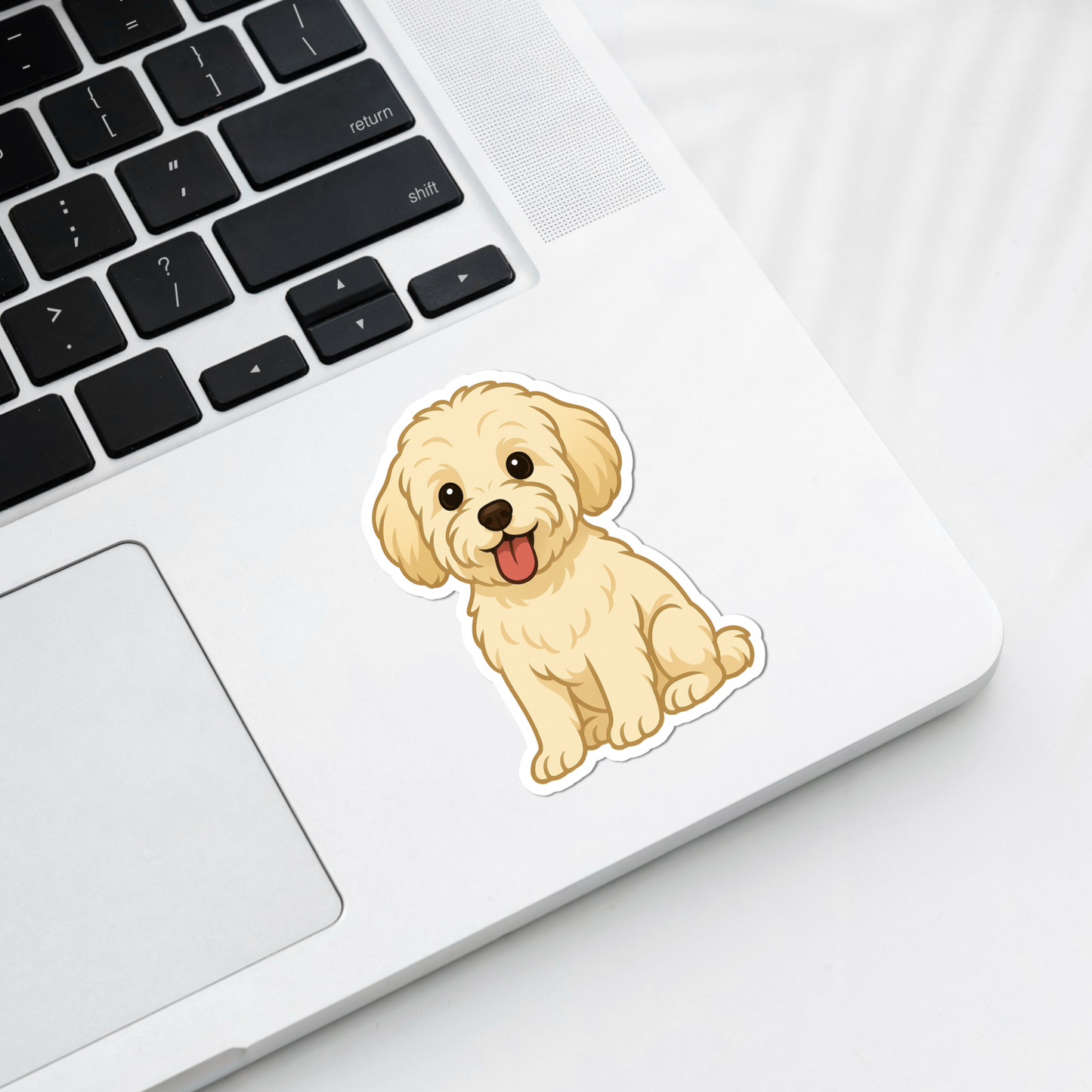Custom Maltipoo Dog Magnet - Cream| Personalized with Pet Name