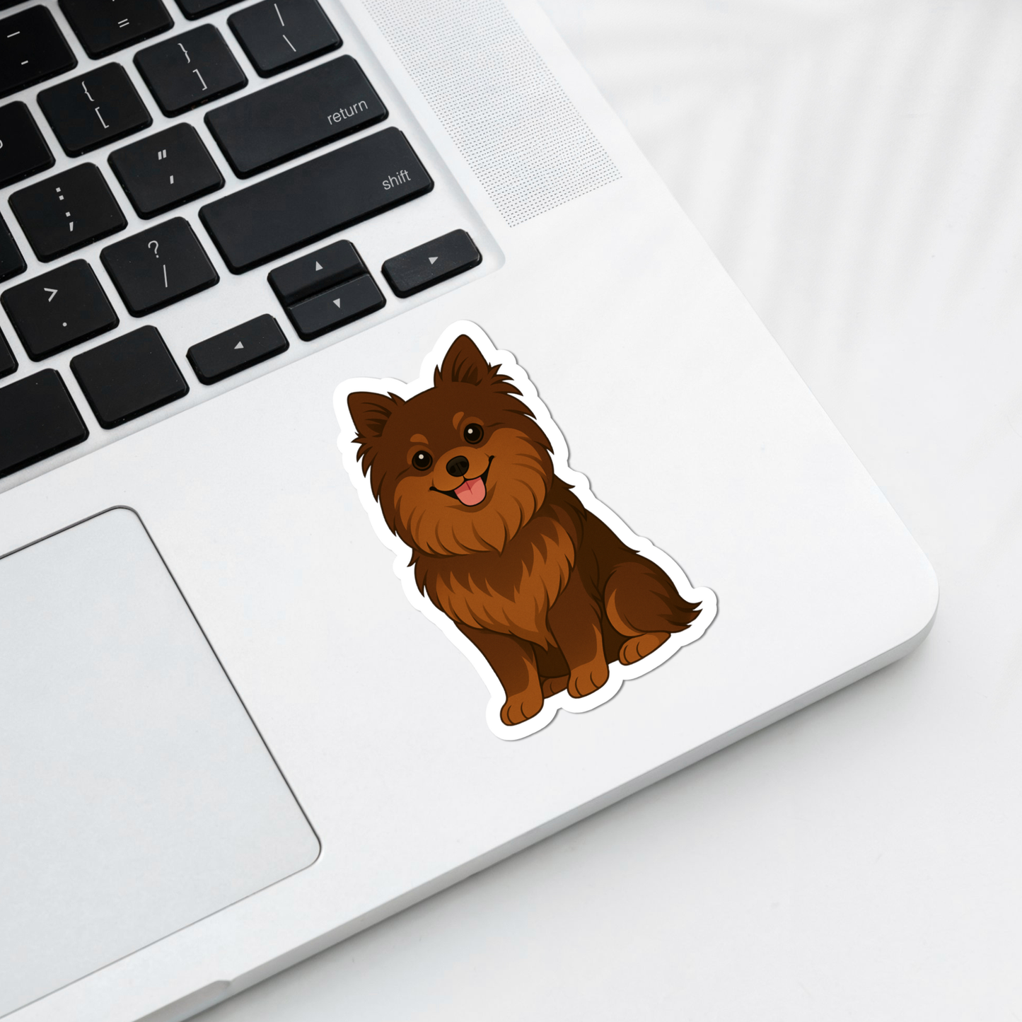 Custom Pomeranian Dog Magnet - Chocolate | Personalized with Pet Name