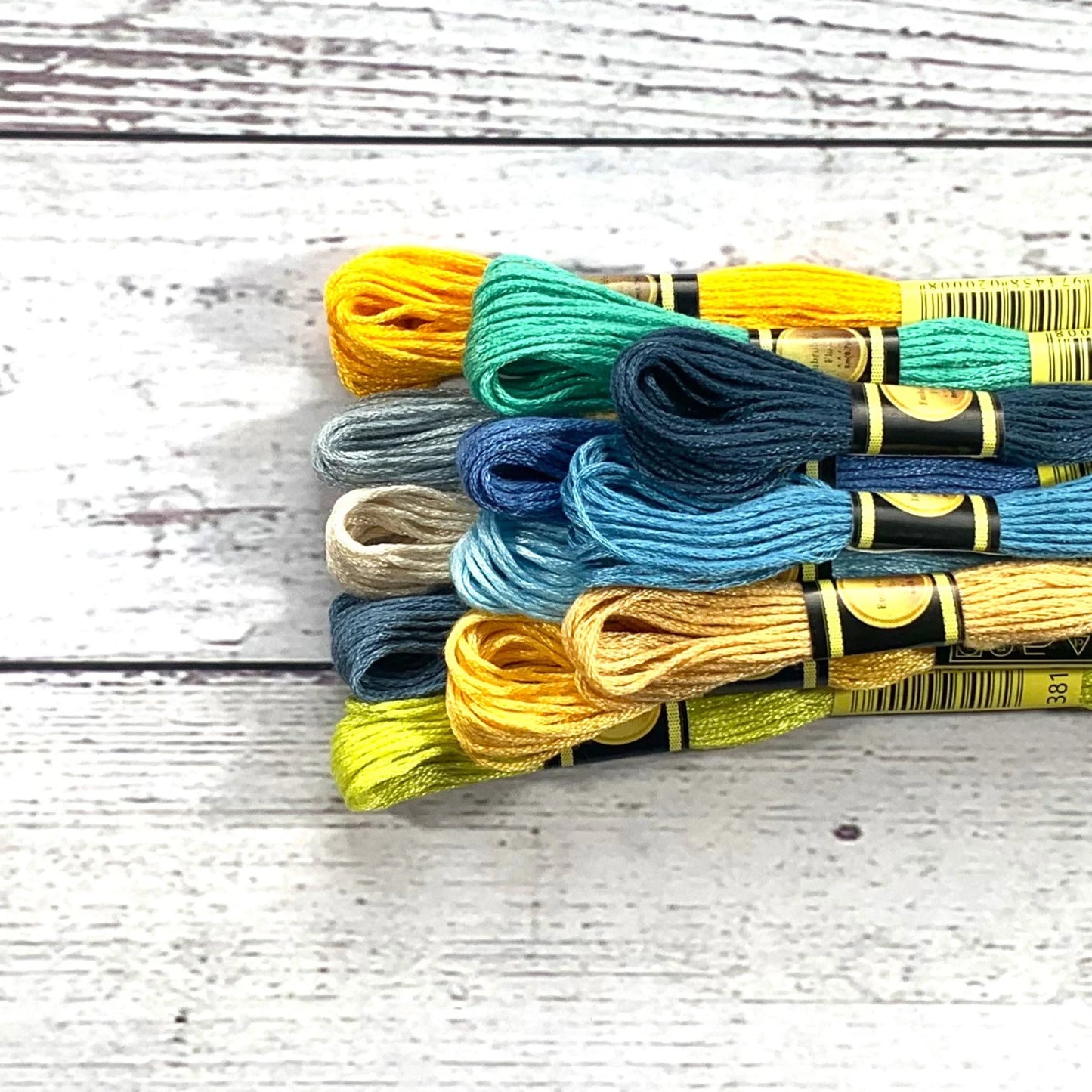 Lot de 12 fils dentaires Seaside Serenity – Ensemble de fils Sea & Sand