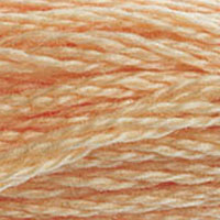 DMC #3856 Buff official colour swatch