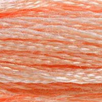 DMC #353 Ballet Slippers official colour swatch