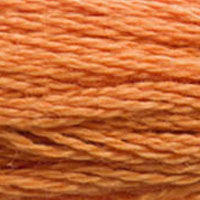 DMC #3853 Copper official colour swatch