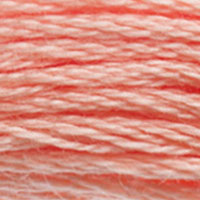 DMC #3824 Strawberry Chew official colour swatch