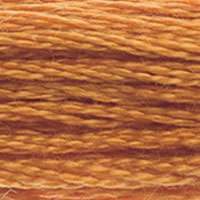DMC #976 Nutmeg official colour swatch