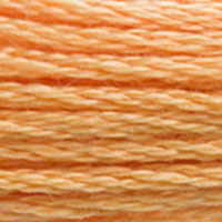 DMC #3854 Chai Spice official colour swatch