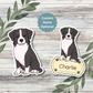 Custom Australian Shepherd Dog Sticker - Black and White | Personalized with Name