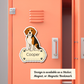Autocollant personnalisé pour chien Beagle - Tricolore | Personnalisable avec nom