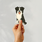 Aimant personnalisé pour chien Border Collie - Noir et blanc | Personnalisable avec le nom de l'animal