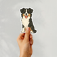 Aimant personnalisé pour chien Border Collie – Tricolore | Personnalisable avec le nom de l'animal