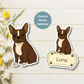 Aimant personnalisé pour chien Boston Terrier - Sceau et blanc | Personnalisé avec le nom de l'animal