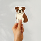 Custom English Bulldog Dog Sticker - Red and White | Personalized with Name