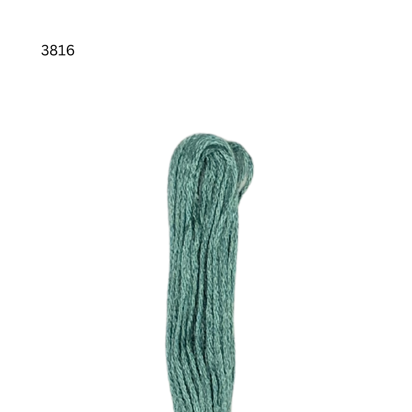 CXC #3816 - Celadon Green - 6-Strand Cotton Floss