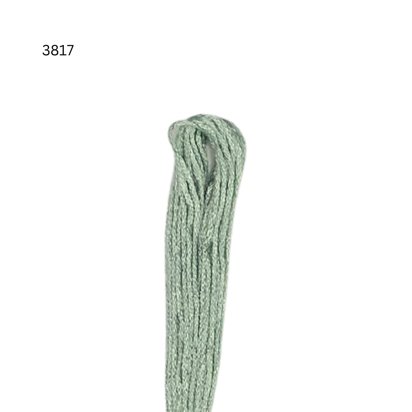 CXC #3817 - Light Celadon Green - 6-Strand Cotton Floss