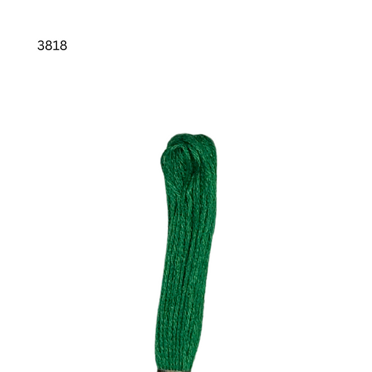 CXC #3818 - Ultra Dark Emerald Green - 6-Strand Cotton Floss