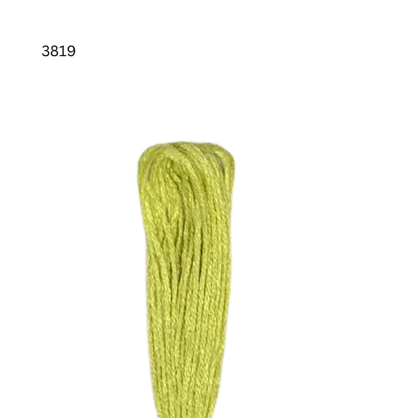 CXC #3819 - Light Moss Green - 6-Strand Cotton Floss