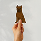 Custom Cane Corso Dog Sticker - Brindle | Personalized with Name