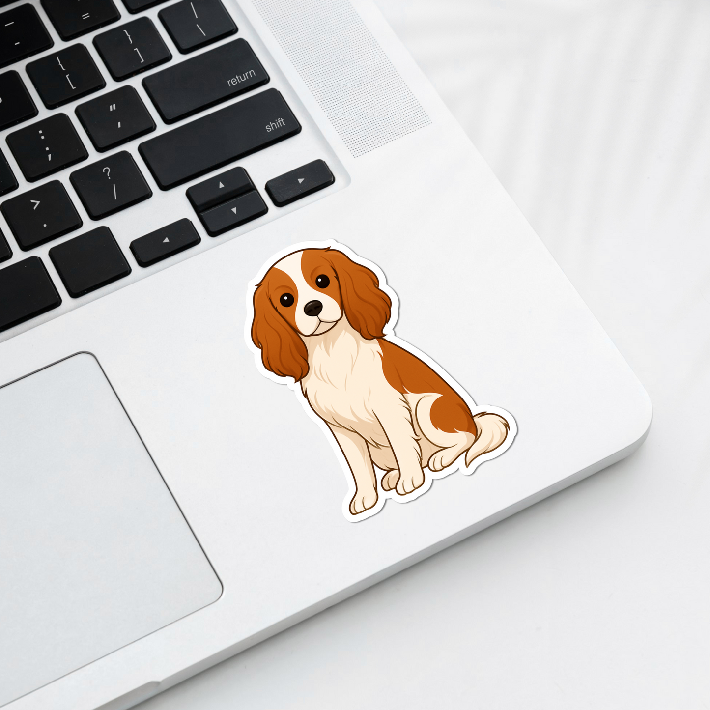 Aimant personnalisé pour chien Cavalier King Charles - Blenheim | Personnalisé avec le nom de l'animal | Joli cadeau décoratif pour réfrigérateur