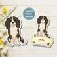 Custom Cavalier King Charles Dog Magnet - Tri-color | Personalized with Pet Name