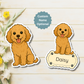 Custom Cavapoo Dog Magnet - Apricot | Personalized with Pet Name