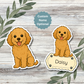 Custom Cavapoo Dog Sticker - Apricot | Personalized with Name