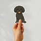 Custom Cavapoo Dog Sticker - Black | Personalized with Name