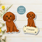 Custom Cavapoo Dog Magnet - Red | Personalized with Pet Name