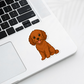Custom Cavapoo Dog Magnet - Red | Personalized with Pet Name