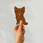 Custom Chihuahua Dog Magnet - Long Haired Chocolate | Personalized with Pet Name