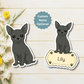 Custom Chihuahua Dog Magnet - Short Haired Black | Personalized with Pet Name