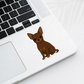 Custom Chihuahua Dog Magnet - Short Haired Chocolate | Personalized with Pet Name