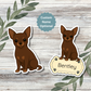 Custom Chihuahua Dog Sticker - Short Haired Chocolate | Personalized with Name