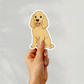 Custom Cocker Spaniel Dog Magnet - Buff | Personalized with Pet Name