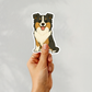 Custom Collie Dog Sticker - Tricolored | Personalized with Name