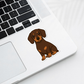 Custom Dachshund Dog Sticker - Chocolate and Tan | Personalized with Name