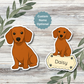 Custom Dachshund Dog Sticker - Red | Personalized with Name