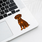 Custom Doberman Pinscher Dog Sticker - Natural Ears Red and Rust | Personalized with Name