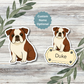 Custom English Bulldog Dog Sticker - Red and White | Personalized with Name