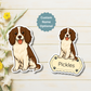 Aimant personnalisé pour chien Springer anglais, couleur foie et blanc | Personnalisable avec le nom de l'animal