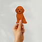 Custom Goldendoodle Dog Sticker - Red | Personalized with Name