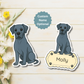 Custom Great Dane Dog Magnet - Blue | Personalized with Pet Name