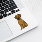 Custom Great Dane Dog Sticker - Brindle | Personalized with Name